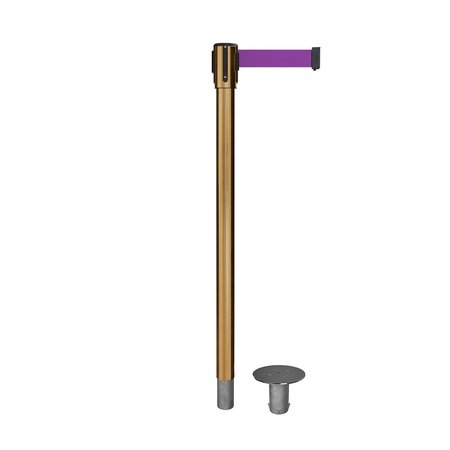 MONTOUR LINE Retractable Belt Removable Stanchion, 2ft Sat.Brass Post  9ft. Purple MX530R-SB-PE-90